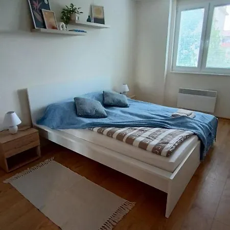 Taca * Subotica