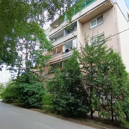 Taca * Subotica